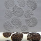 Z*Texture Roller- Ammonite (multi) Fossil