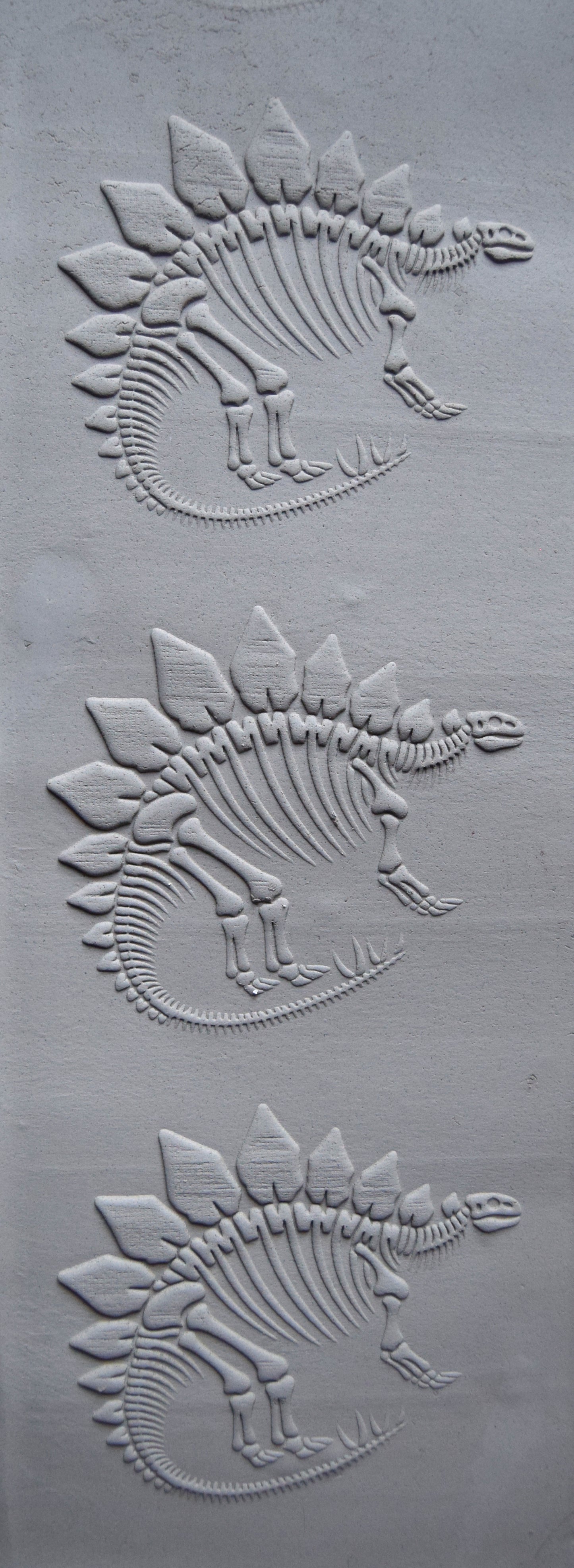 Z*Texture Roller- Stegosaurus Fossil 2