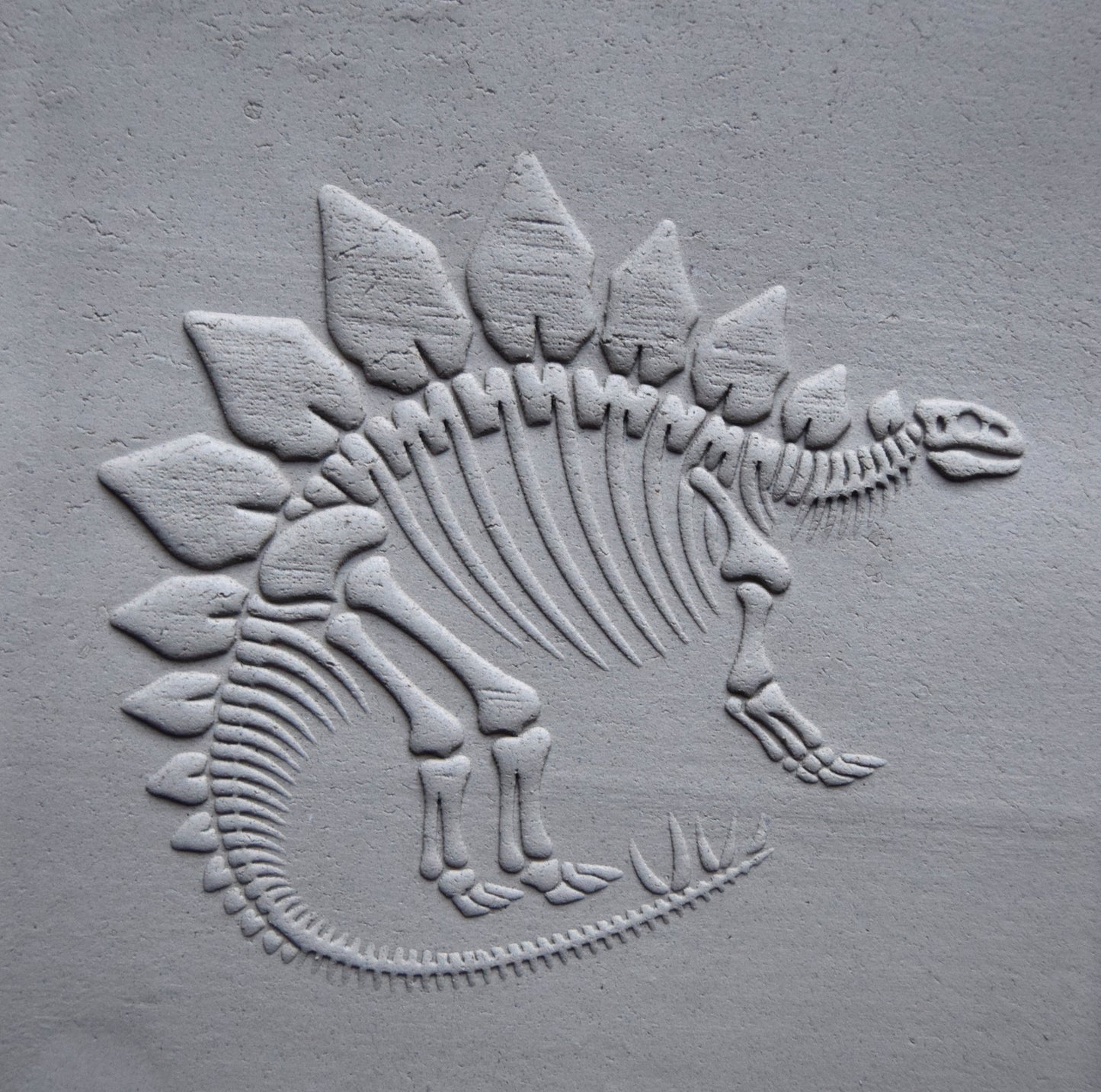 Z*Texture Roller- Stegosaurus Fossil 2