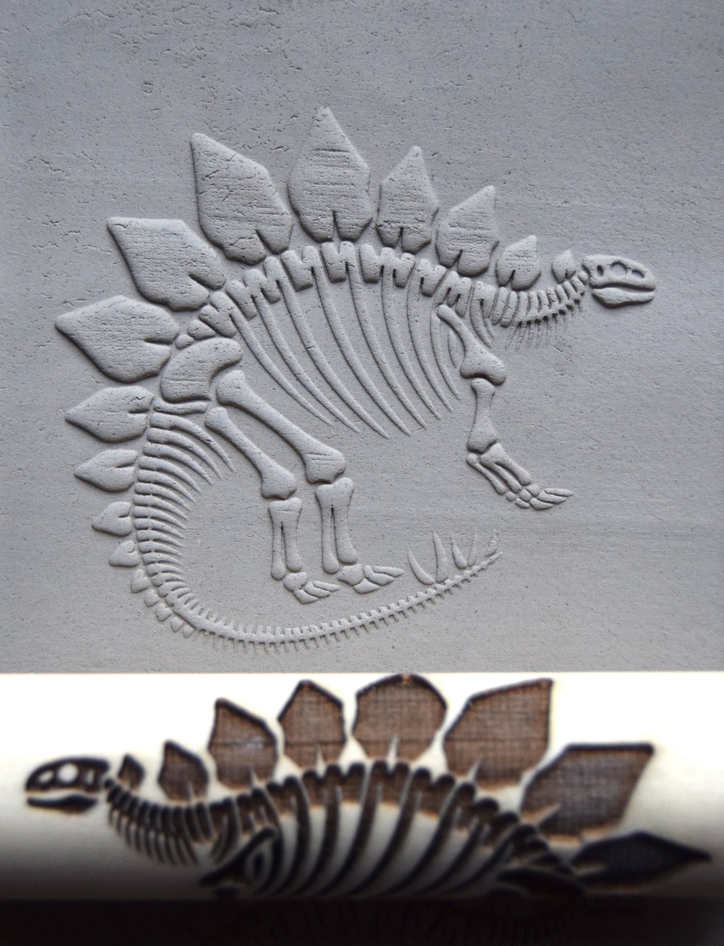 Z*Texture Roller- Stegosaurus Fossil 2