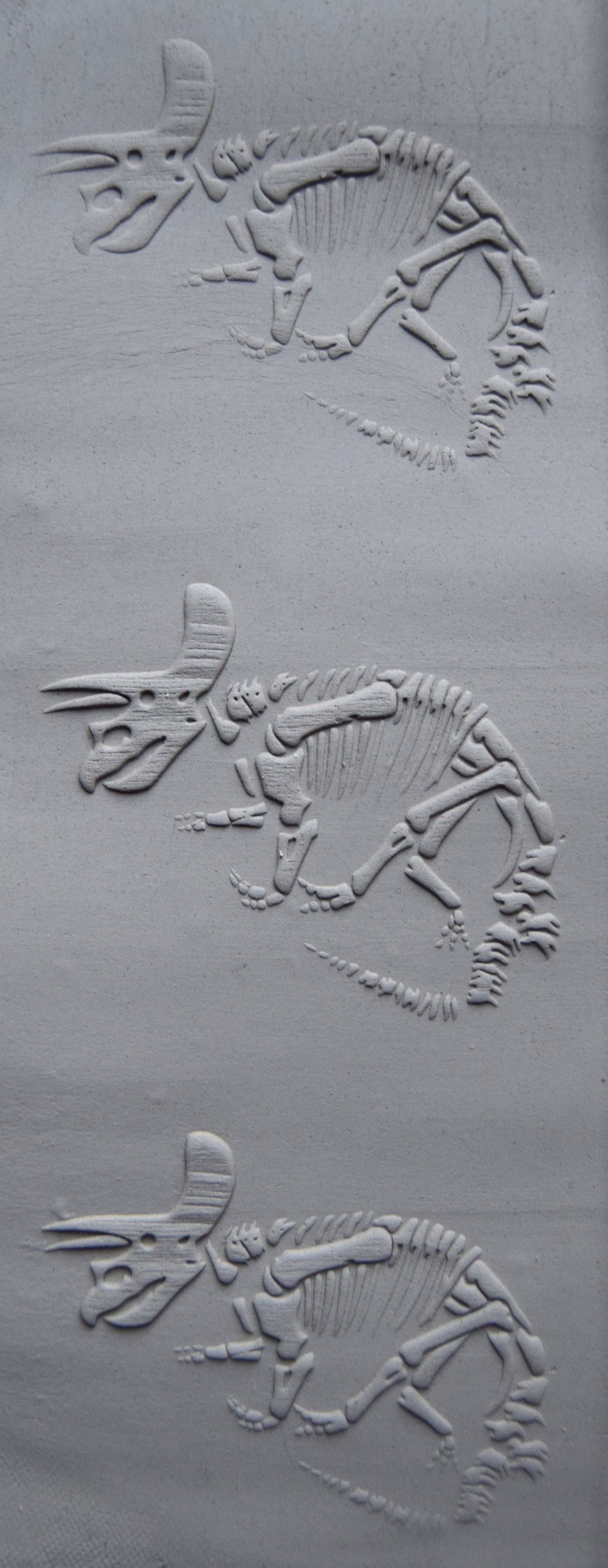 Z*Texture Roller- Triceratops Fossil (disarticulated)