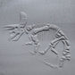 Z*Texture Roller- Triceratops Fossil (disarticulated)