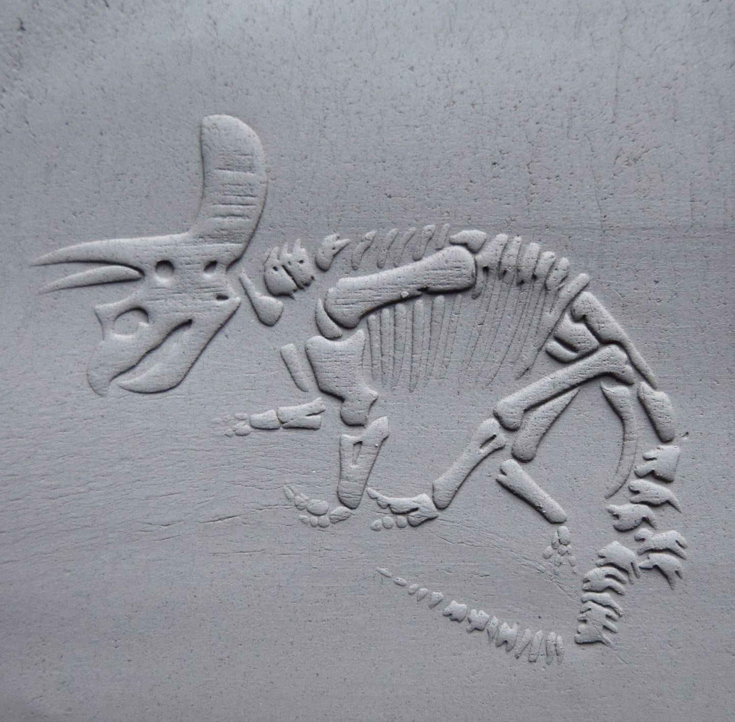 Z*Texture Roller- Triceratops Fossil (disarticulated)