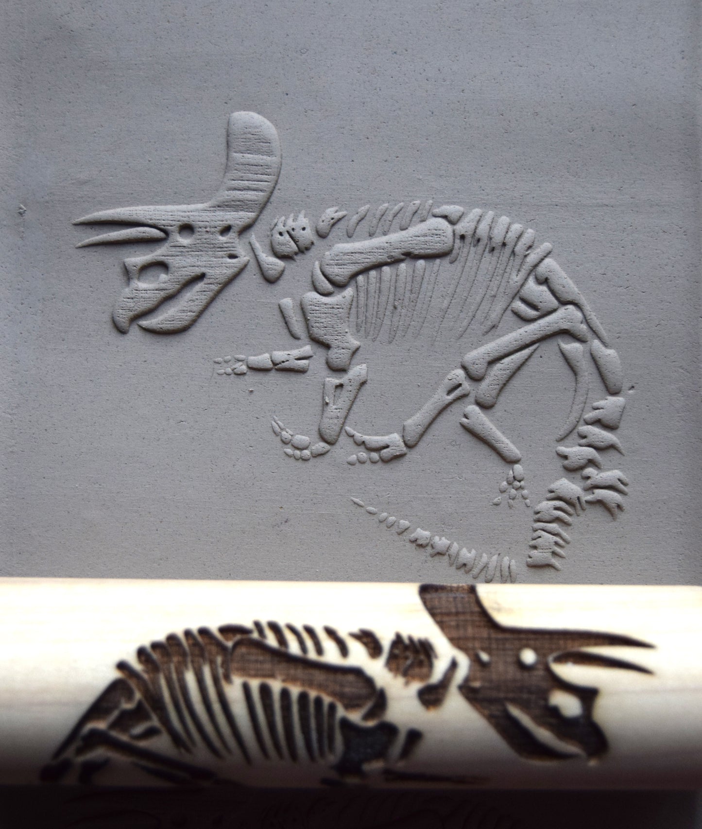 Z*Texture Roller- Triceratops Fossil (disarticulated)