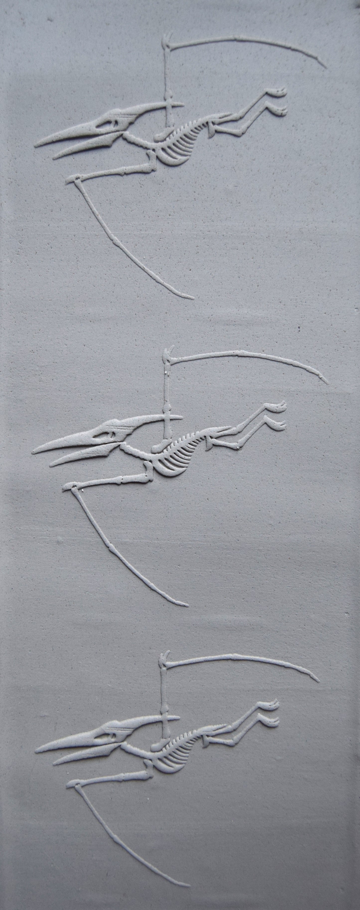 Z*Texture Roller-  Pteranodon Fossil