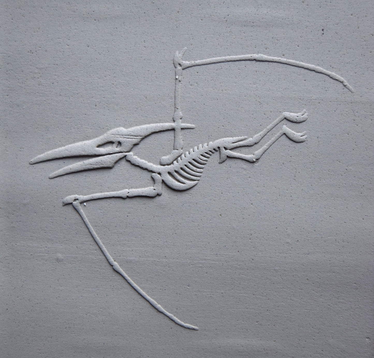 Z*Texture Roller-  Pteranodon Fossil