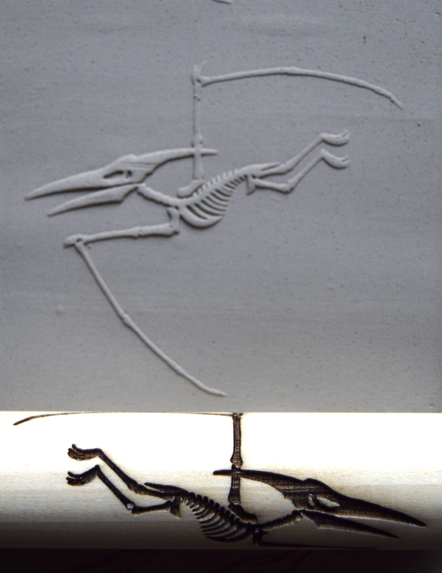 Z*Texture Roller-  Pteranodon Fossil