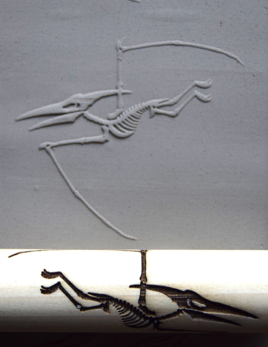 Z*Texture Roller-  Pteranodon Fossil