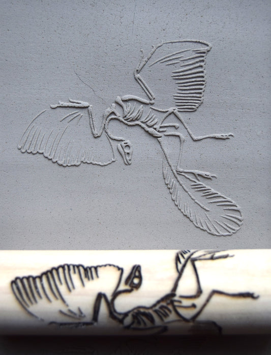 Z*Texture Roller- Berlin Archaeopteryx Fossil