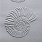 Z*Texture Roller- Ammonite (large) Fossil
