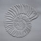Z*Texture Roller- Ammonite (large) Fossil