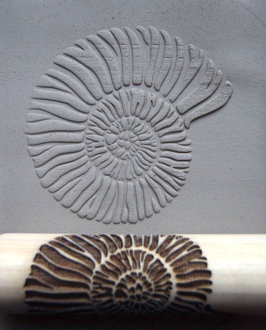 Z*Texture Roller- Ammonite (large) Fossil