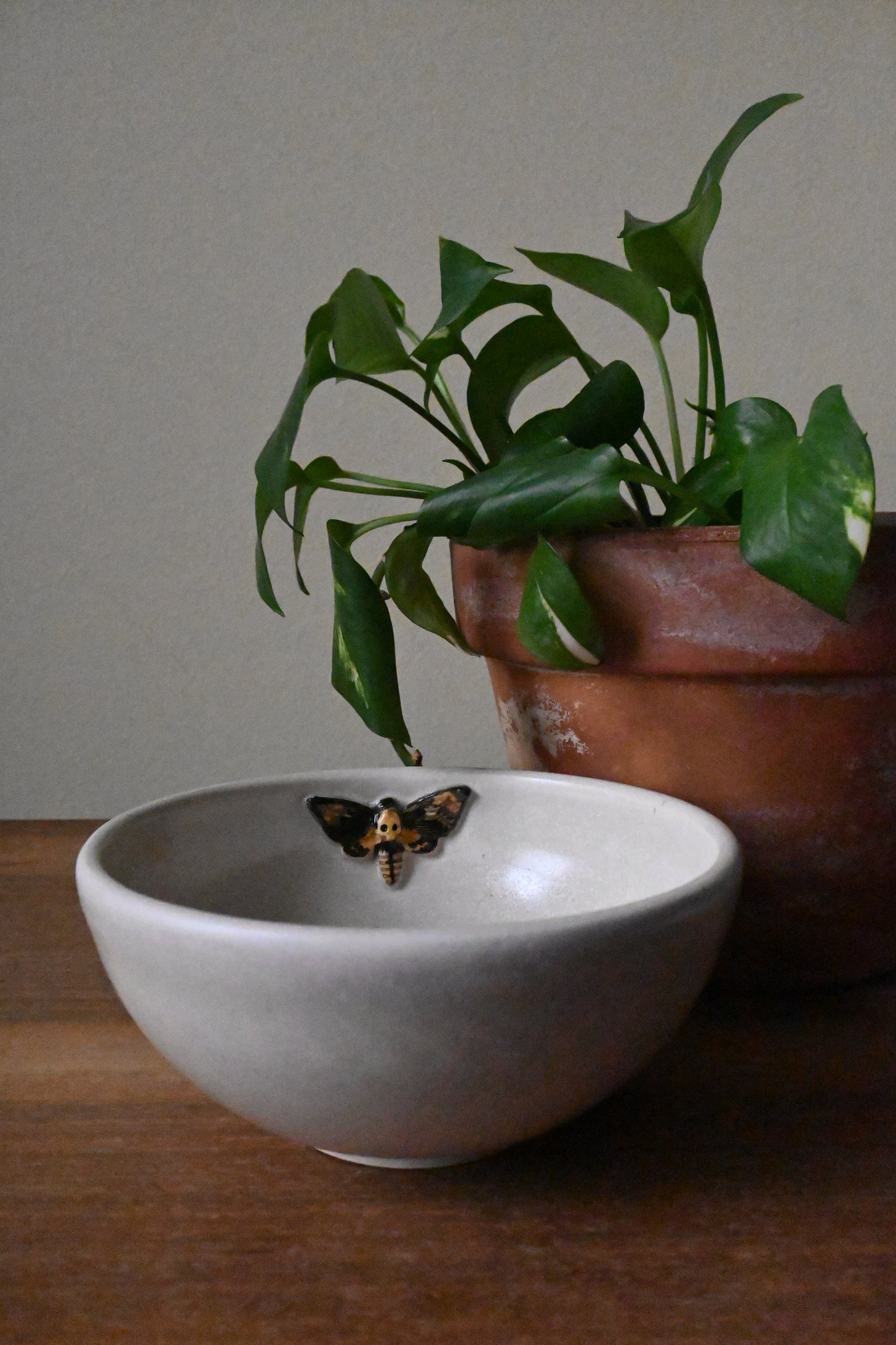 Marieka Jackson- Deathhead Moth Bowl