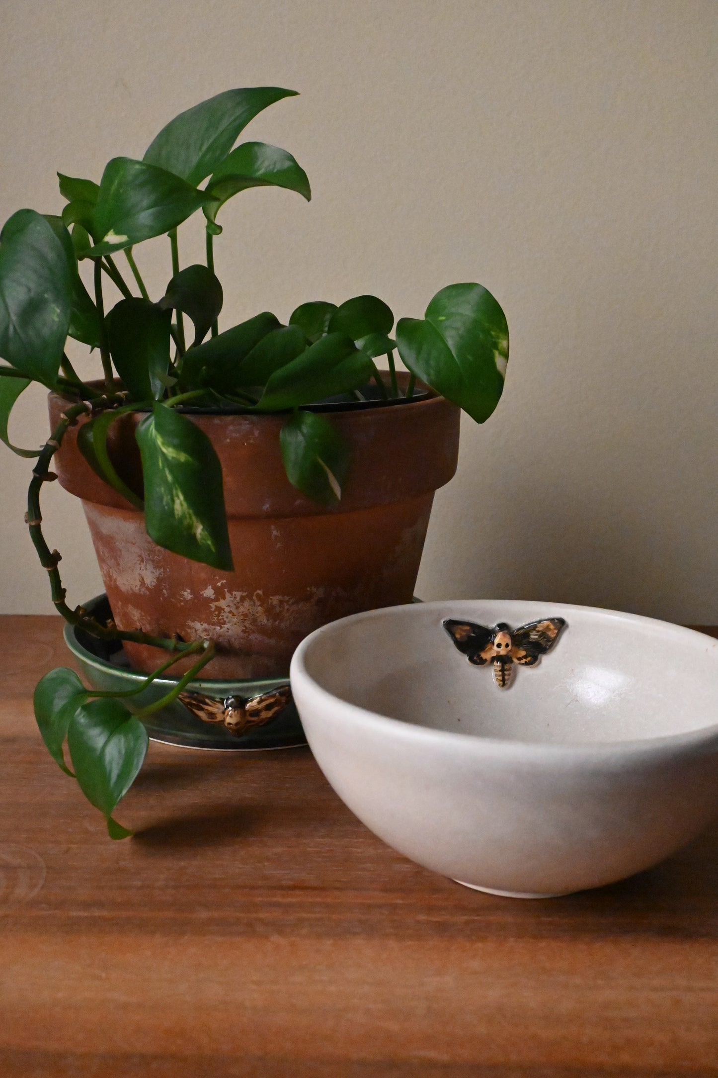 Marieka Jackson- Deathhead Moth Bowl