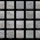 Z* Sous-verres fossiles