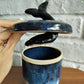 Grace Thng- Dolphin Dive
