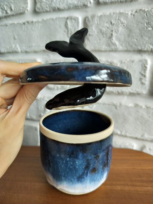 Grace Thng- Dolphin Dive