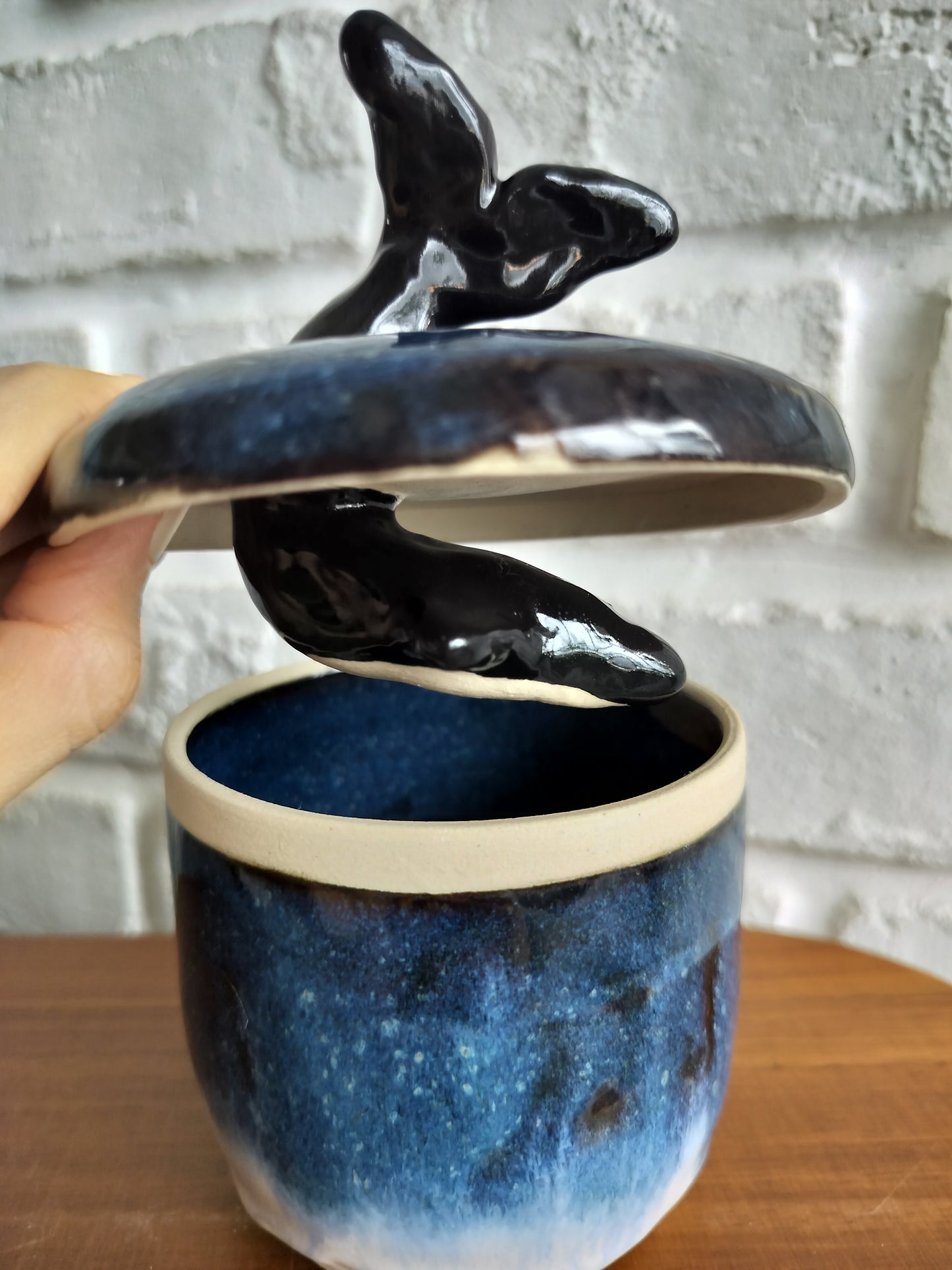 Grace Thng- Dolphin Dive