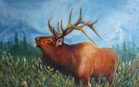 Carolann Henning- Echo the Elk