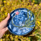 Emily Rose- Kelp Forest Plate