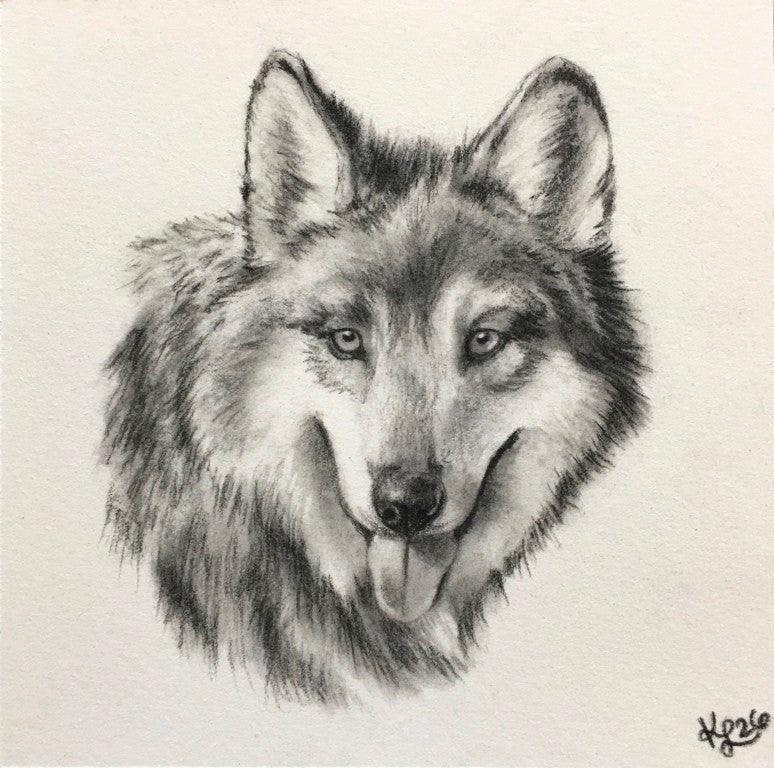 Kelly Lewis- El Lobo