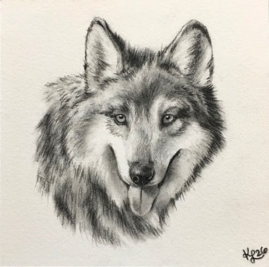 Kelly Lewis- El Lobo
