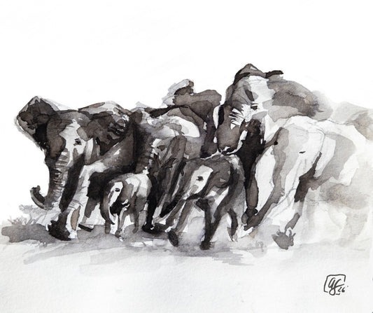 Annabel Schoen- Elephant Herd (Print)