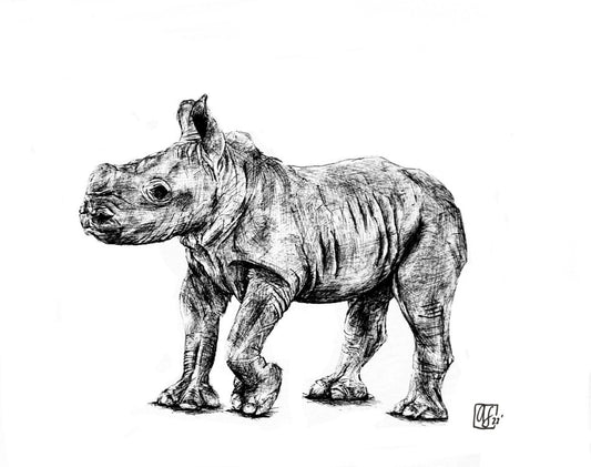 Annabel Schoen- White Rhino Calf (Print)
