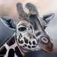 Michelle Gates- Giraffe