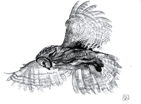 Annabel Schoen- Great Grey Owl (Print)
