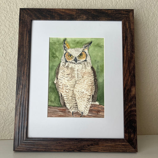 Jessica Schmidtbauer- Great Horned Owl