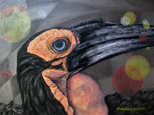 Michelle Gates- Ground Hornbill