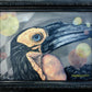 Michelle Gates- Ground Hornbill
