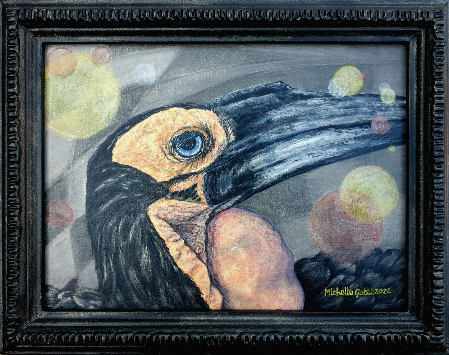 Michelle Gates- Ground Hornbill