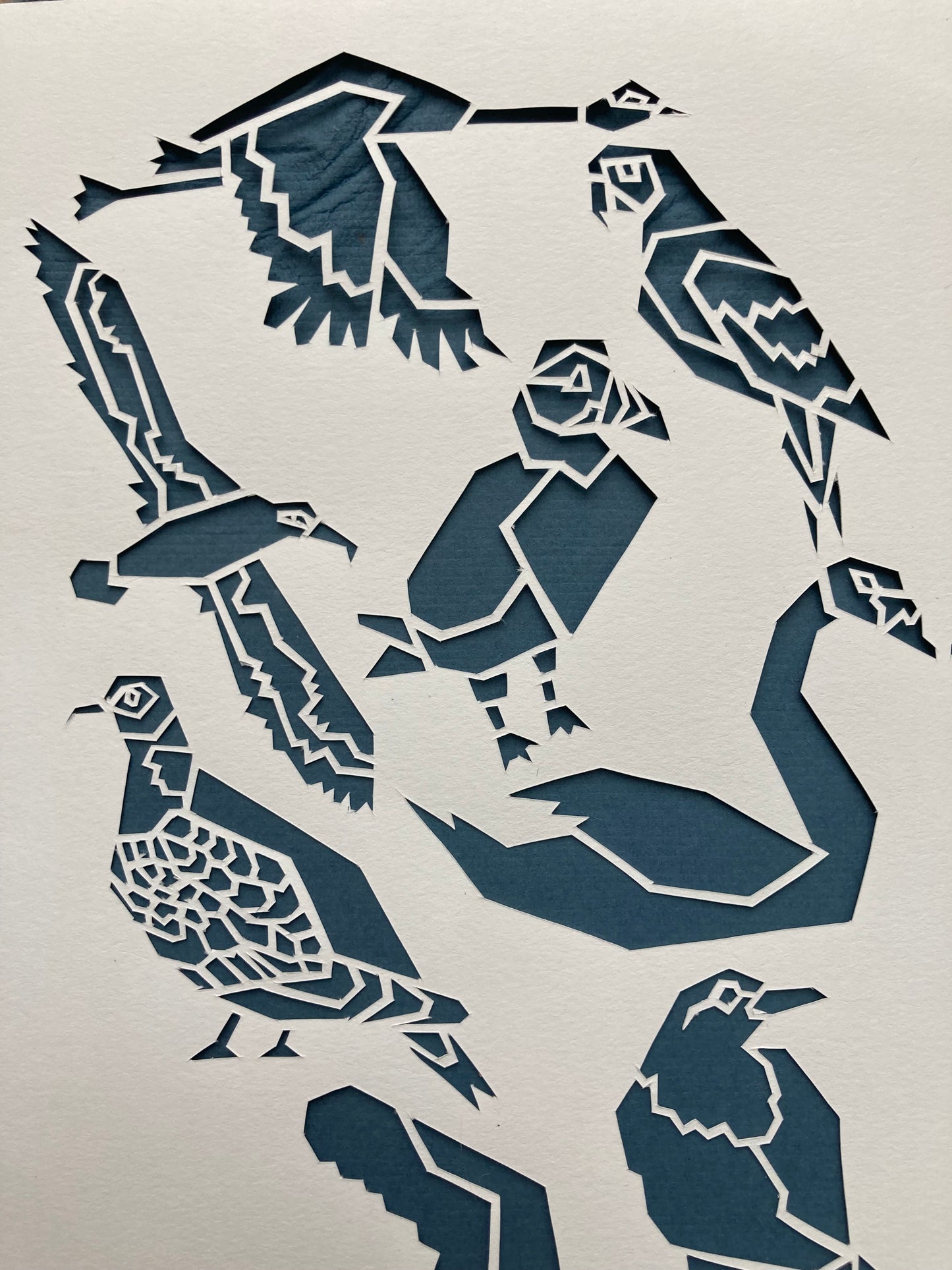 Joelle Cook- Heart of Birds