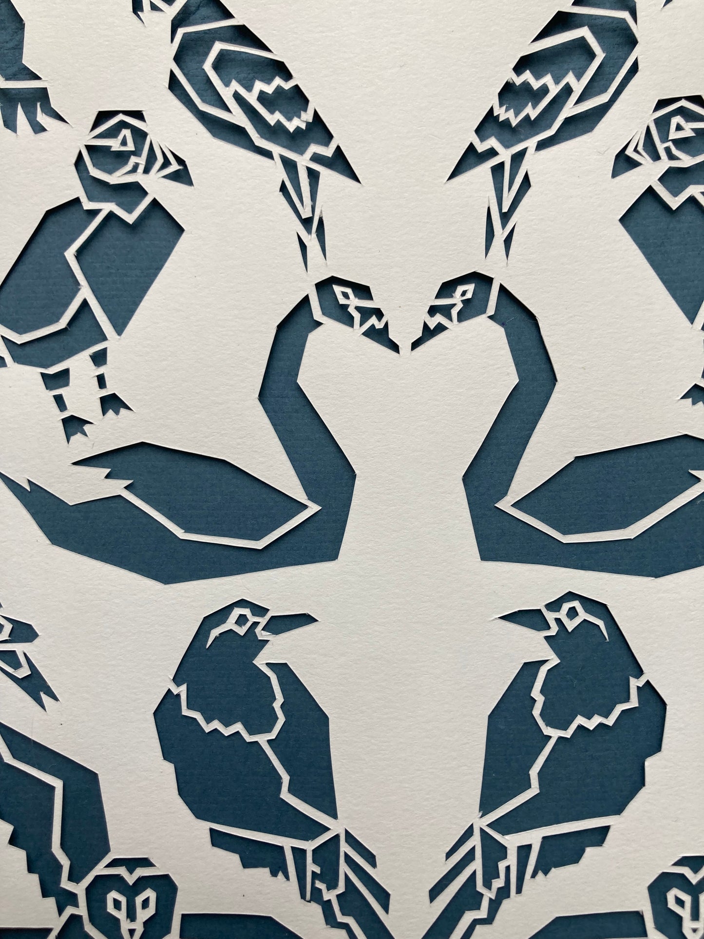 Joelle Cook- Heart of Birds