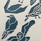 Joelle Cook- Heart of Birds