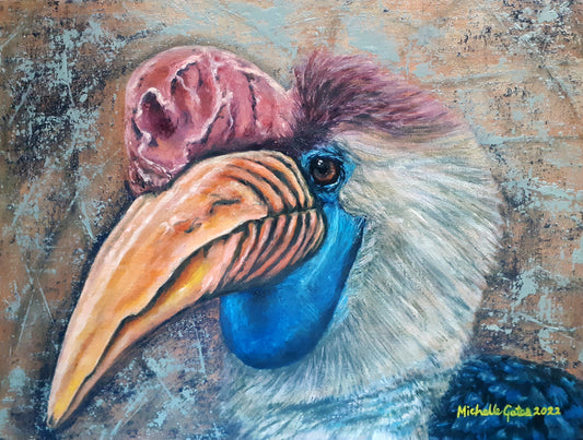 Michelle Gates- Helmeted Hornbill