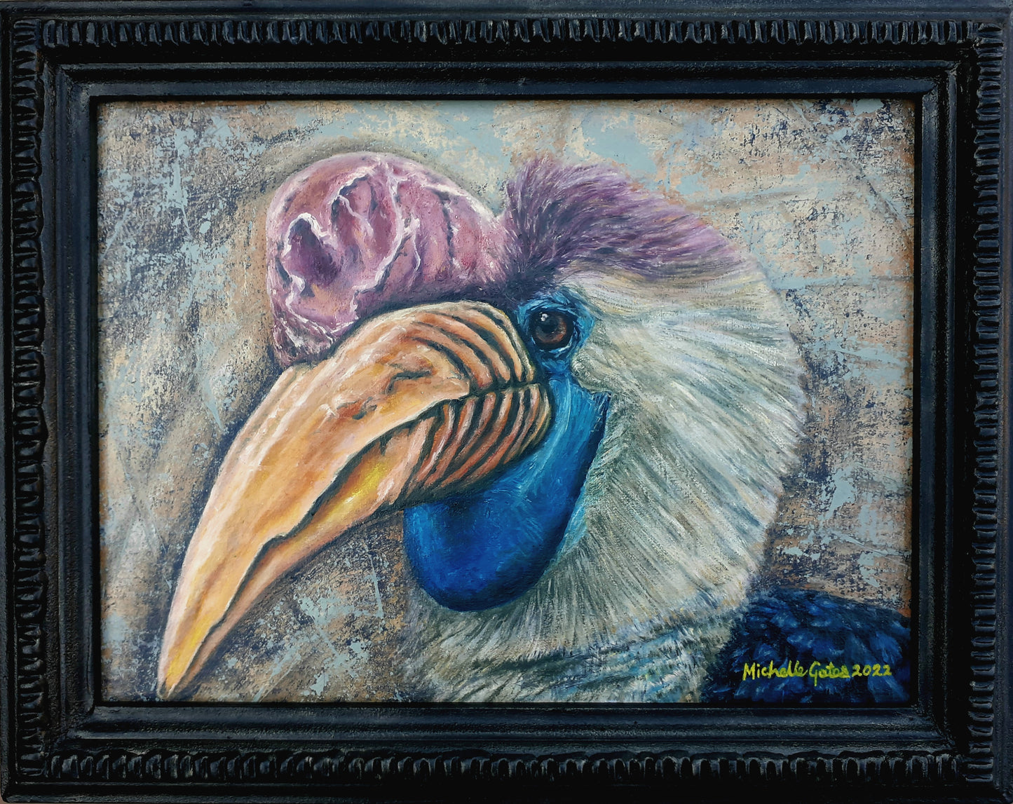 Michelle Gates- Helmeted Hornbill