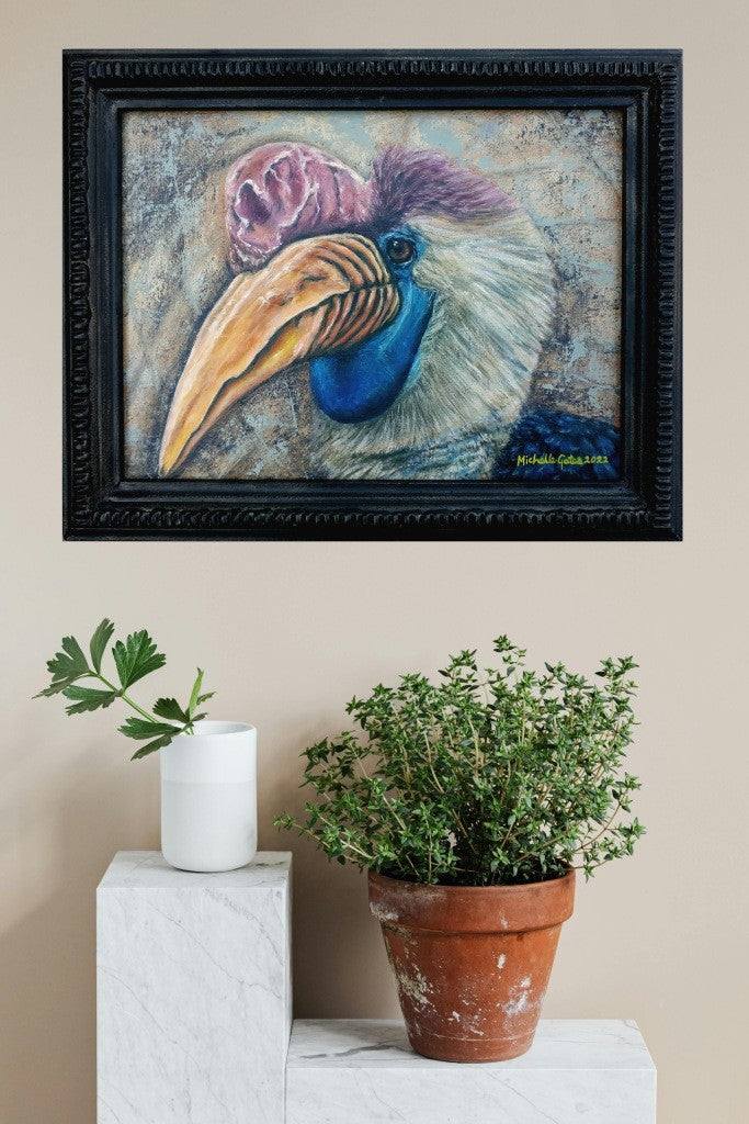 Michelle Gates- Helmeted Hornbill