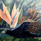 Ali Hassan- Fauna mundial