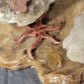 Amber Rae Malott- Hunting Party Sculpture