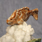 Amber Rae Malott- Hunting Party Sculpture