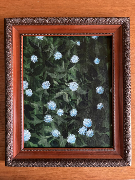 AJ Courtney- Hydrangeas in Bloom
