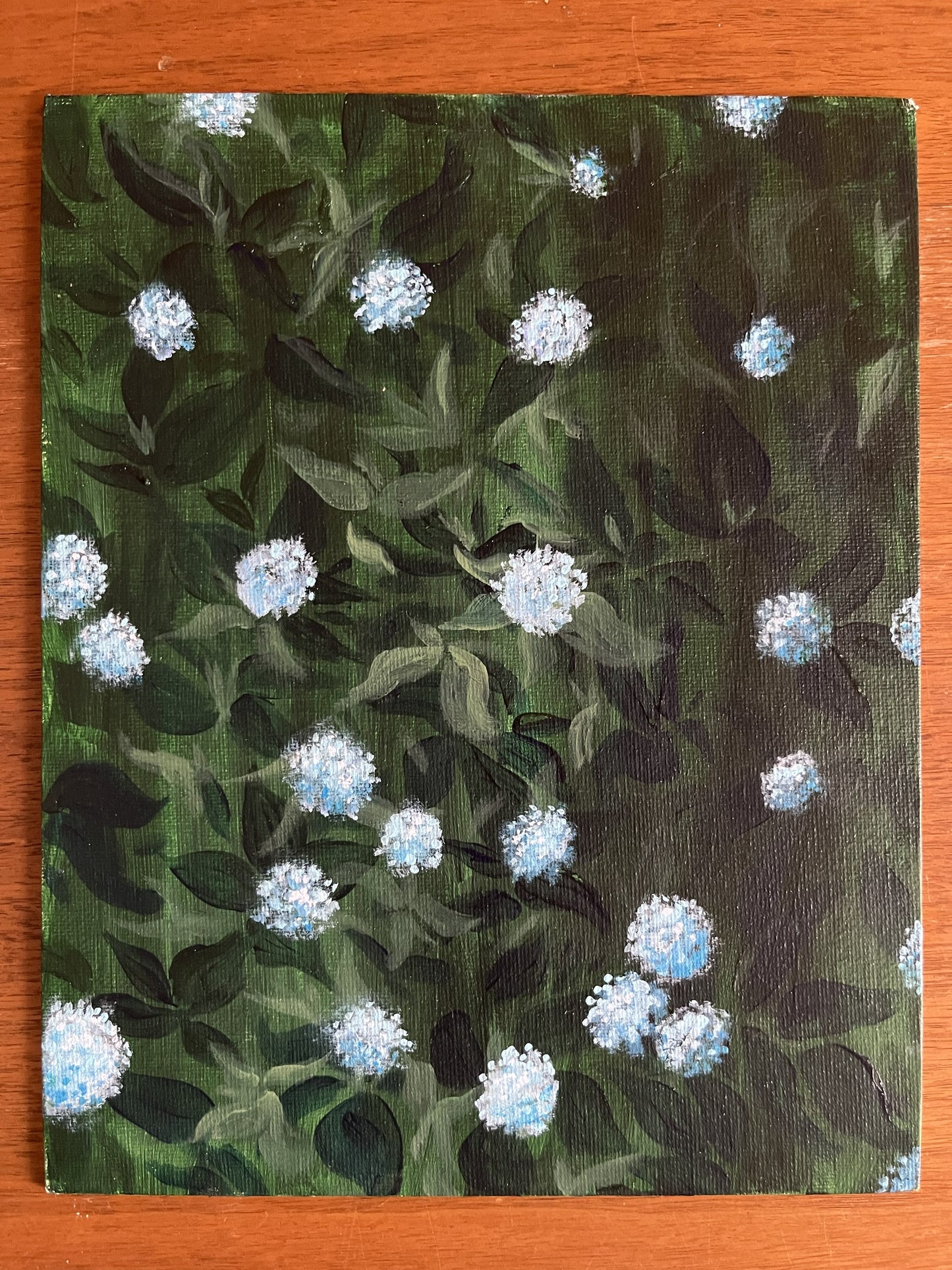 AJ Courtney- Hydrangeas in Bloom