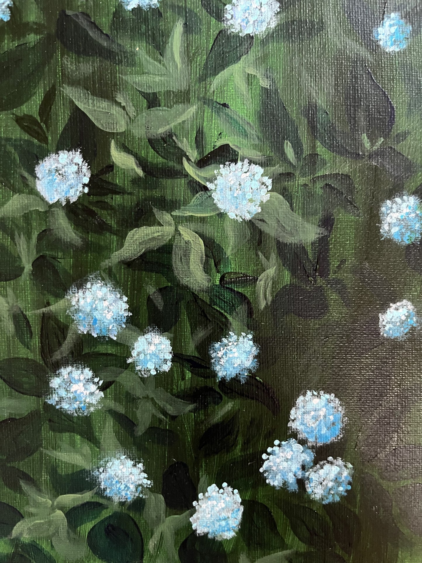 AJ Courtney- Hydrangeas in Bloom