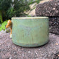 Lauren Hollowniczky- Amur Leopard Mug
