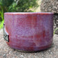 Lauren Hollowniczky- Fruit Bat Mug