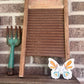 Traci Nachtrab- Small Butterfly