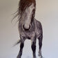 Jessica Roberts- Hiraeth